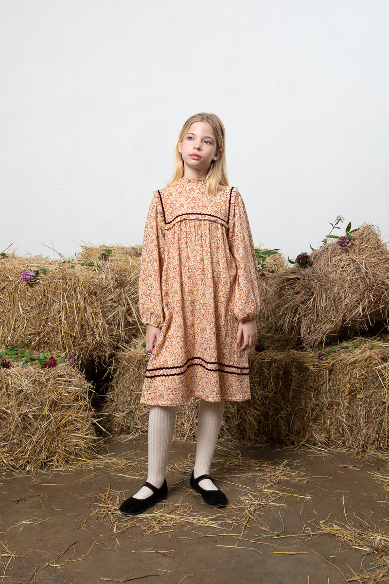 Gabriella Dress Fall Garden