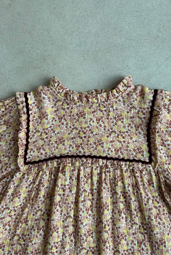 Gabriella Dress Fall Garden 8 Years/ Sample