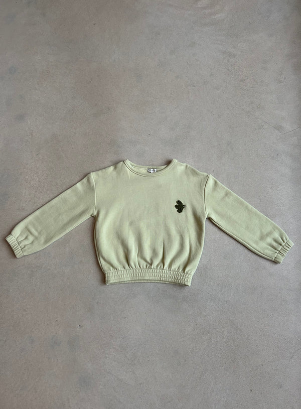 Luke Sweatshirt Sage 8 Years/Sample